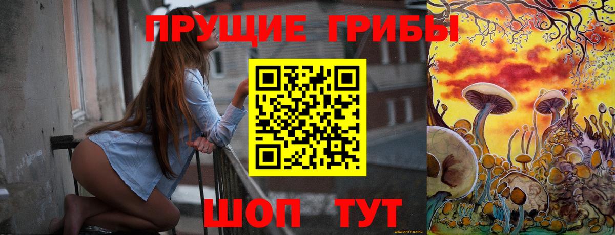 Галлюциногенные грибы прущие грибы  Вход с VPN  Ржев  Галлюциногенные грибы Psilocybine cubensis 